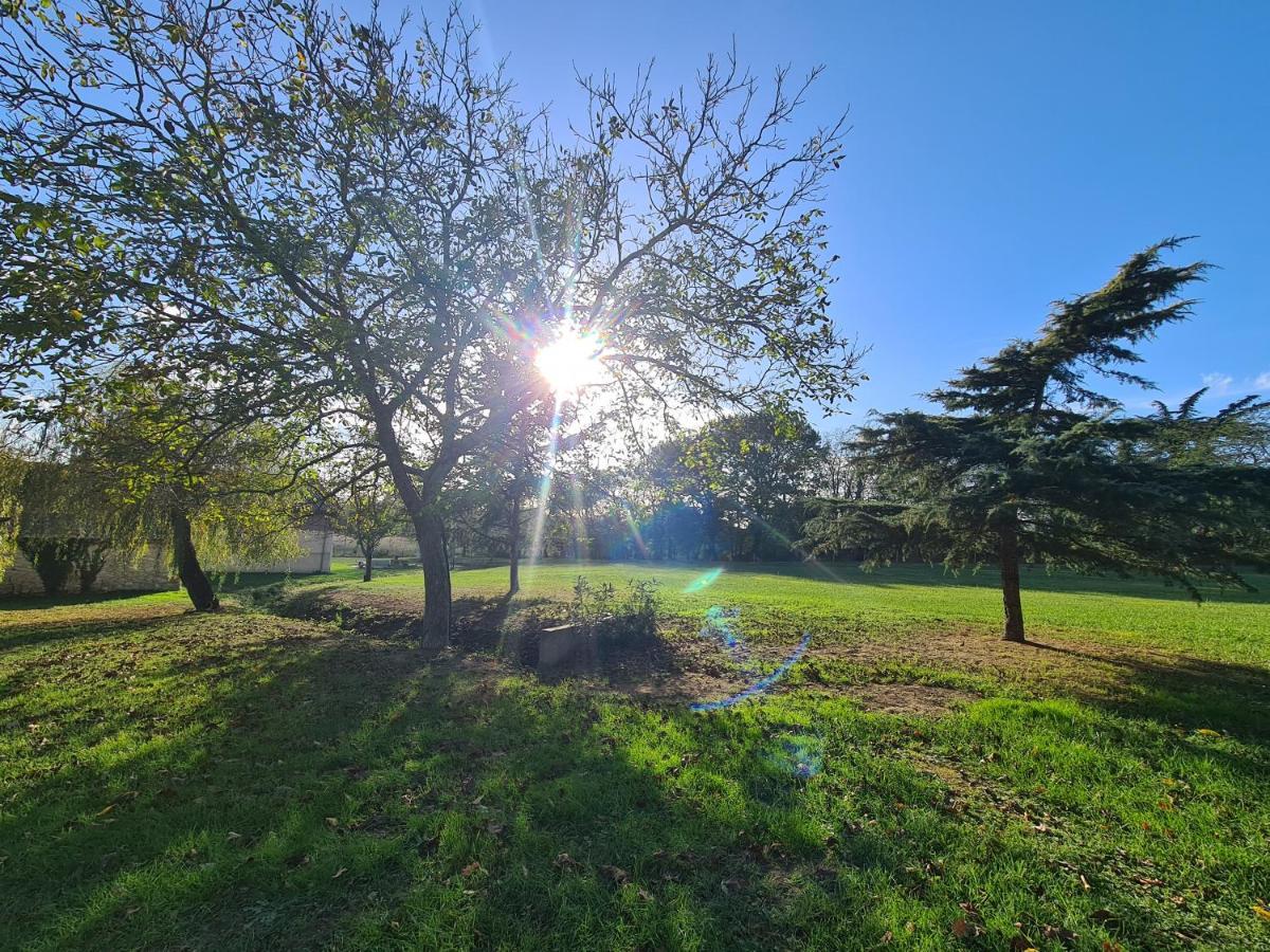 Saint-Sylvestre-sur-Lot Le Coq En Repos Bed & Breakfast エクステリア 写真