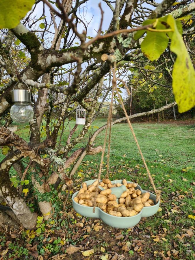 Saint-Sylvestre-sur-Lot Le Coq En Repos Bed & Breakfast エクステリア 写真